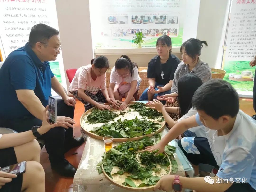 原載人民日報“人民視點(diǎn)”茶葉是怎樣做出來的？湖南大、中、小學(xué)生體驗湖南工夫紅茶制作